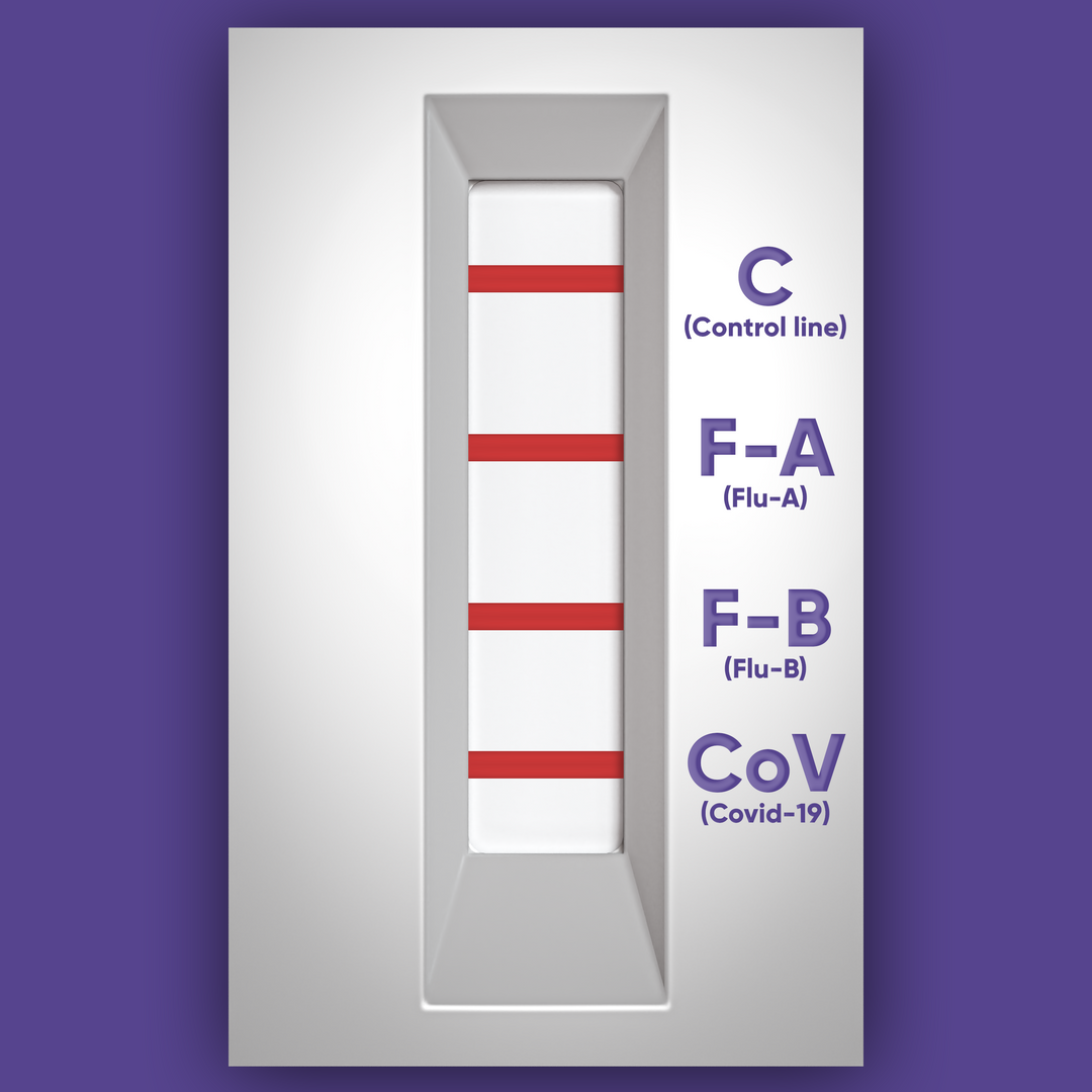 Step 4: Wait 10 minutes and read the test results using the instruction guide for accurate interpretation